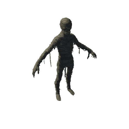 Mummy Skin1